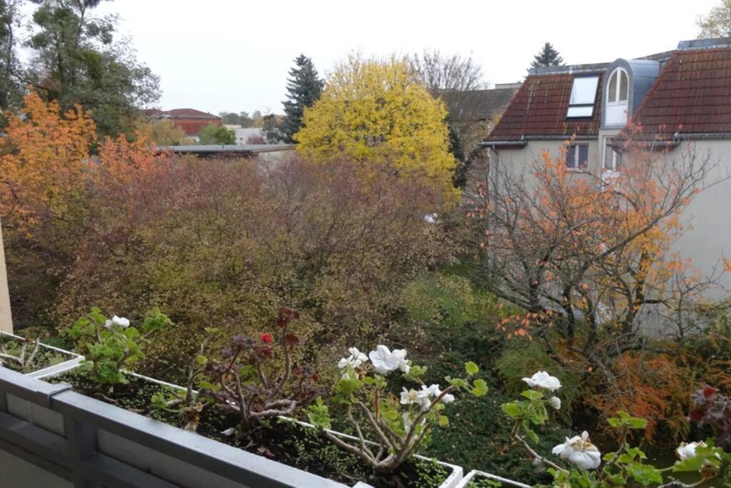 Schöne, ruhige Wohnung in Berlin-Steglitz Exterior foto