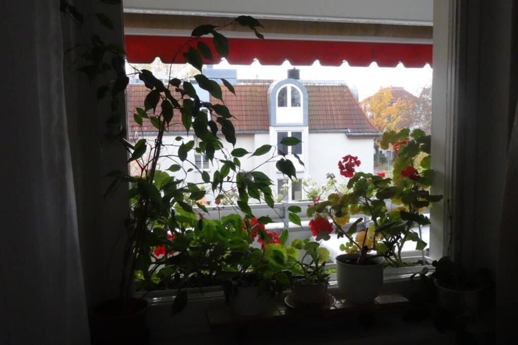 Schöne, ruhige Wohnung in Berlin-Steglitz Exterior foto